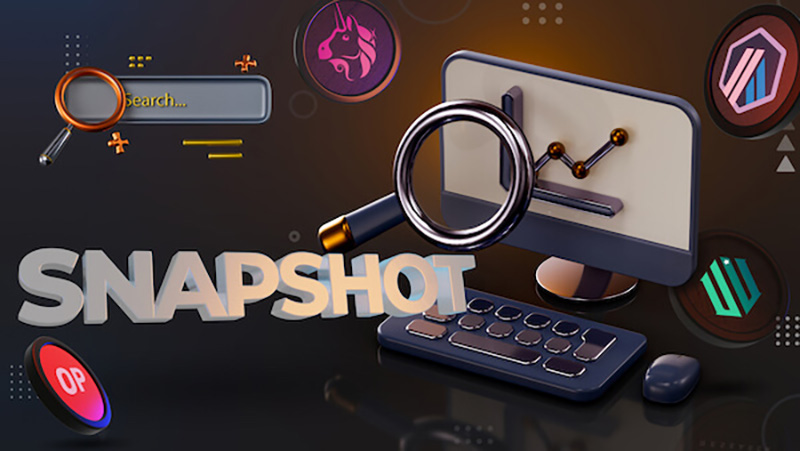 اسنپ‌ شات Snapshot با تکنولوژی بلاکچین از طریق فراهم آوردن یک سیستم رای‌گیری غیرمتمرکز هماهنگ است. 