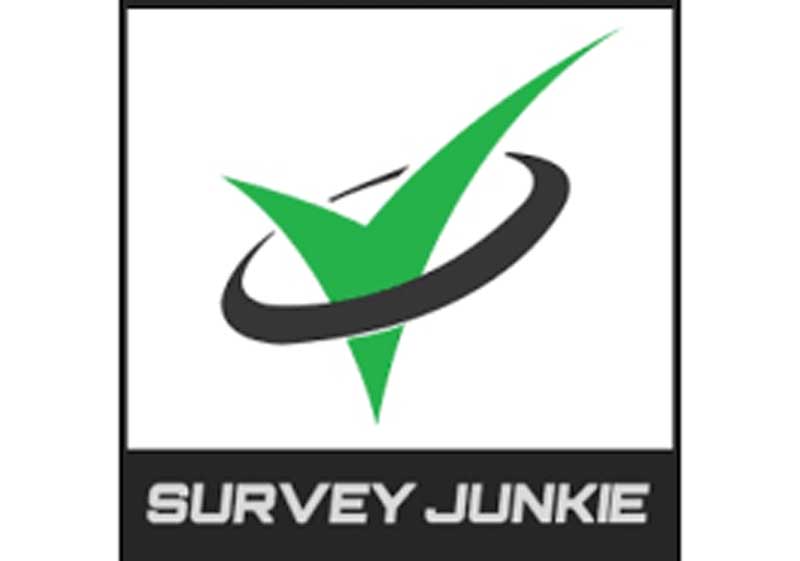 نکات کلیدی برای به حداکثر رساندن درآمد در Survey Junkie
