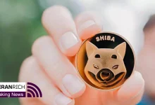 پیچ تاریخی Shiba inu