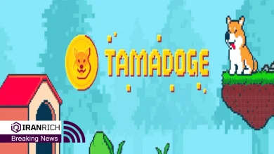اخبار مرتبط با Tamadoge