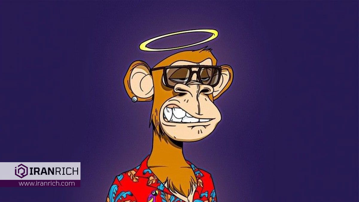 nft میمون و محبوبیت هنر میمون ها NFTs of Monkeys: