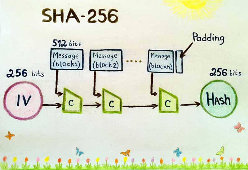 عملکرد الگوریتم sha-256