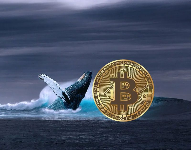 چرا نهنگ‌های ارزهای دیجیتال مهم هستند؟
