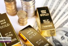 صندوق سرمایه گذاری طلا یک نوع صندوق سرمایه‌گذاری است که بیشتر سرمایه خود را در طلا یا اوراق مشتقه مبتنی بر طلا سرمایه‌گذاری می‌کند.
