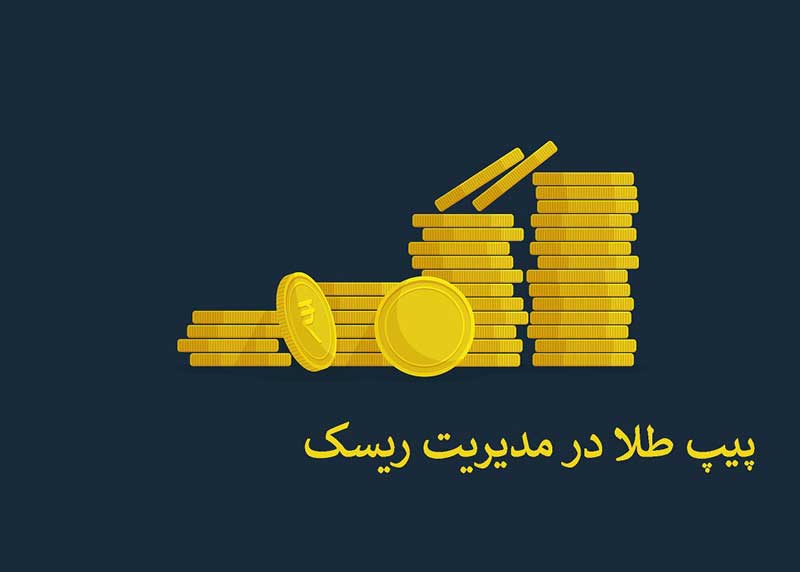 نقش پیپ طلا در مدیریت ریسک