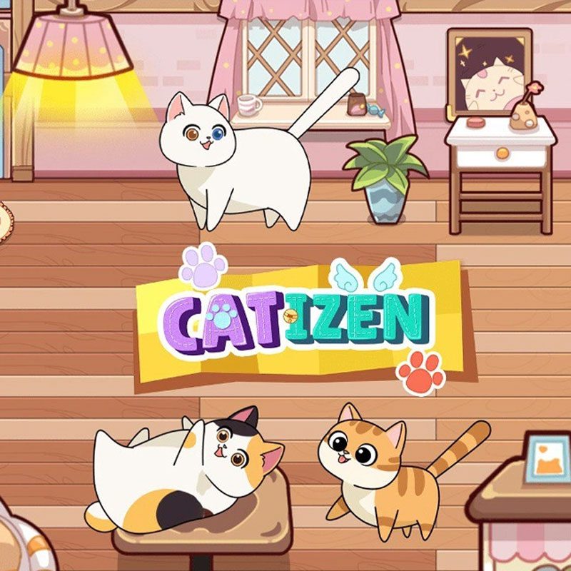 ایردراپ کتیزن (Catizen)