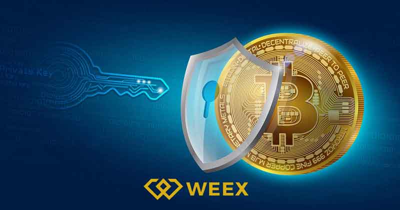 امنیت و بیمه صرافی ویکس weex: کلاه‌برداری این صرافی دروغ است