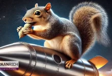 آیا دوره موفقیت توکن میم PNUT تمام شده است؟ هشدار بنیان‌گذار بایننس