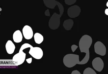 پیش‌بینی قیمت ایردراپ پاوز (PAWS) و تحلیل عوامل تاثیرگذار بر ارزش آن