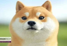 جهش ۵٪ قیمت دوج‌کوین با خرید ۱۰ میلیون DOGE توسط بنیاد دوج‌کوین