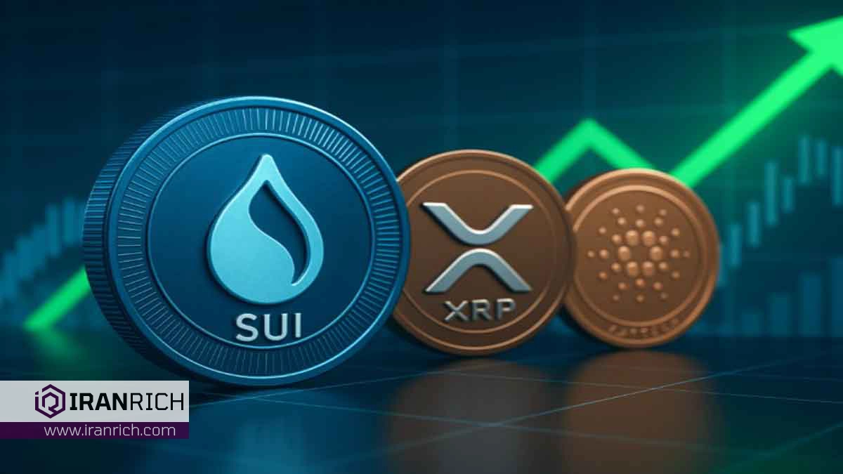 ورود 785 میلیون دلار به بازار کریپتو؛ SUI از XRP و کاردانو پیشی گرفت