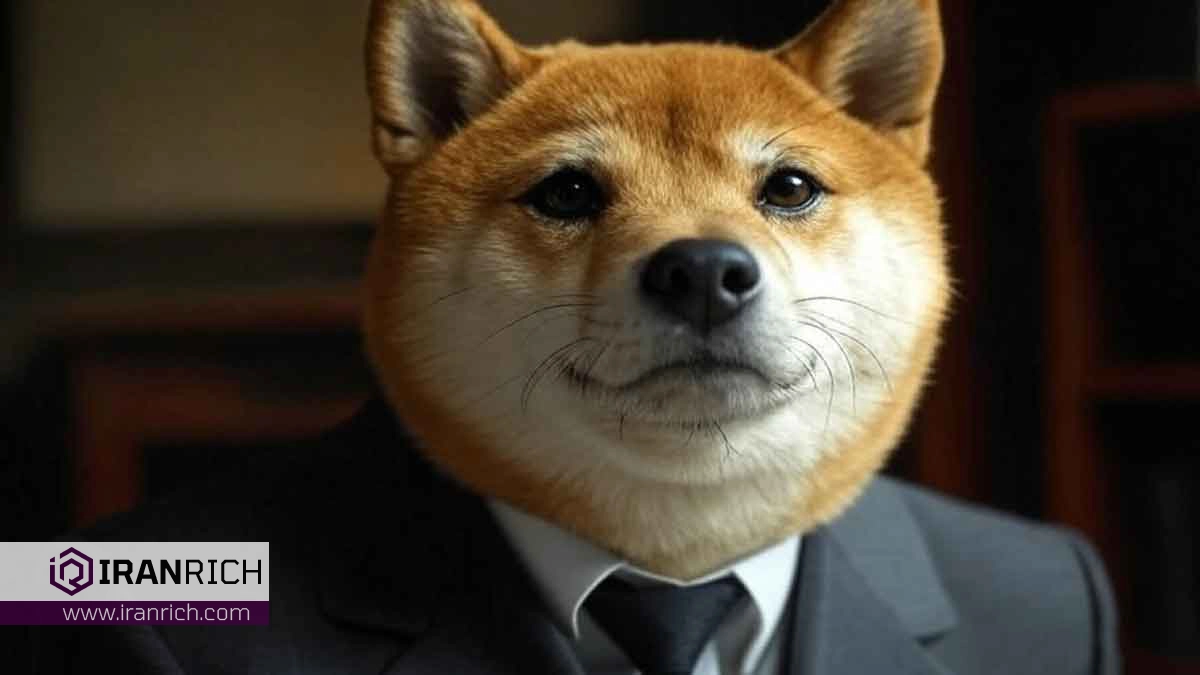قیمت دوجکوین ۱۲٪ افزایش یافت، آیا راه برای رسیدن به ۱ دلار هموار است؟