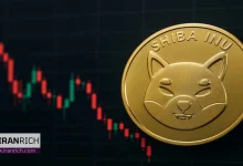 افزایش ۶۵۶٪ توکن‌سوزی شیبا اینو، قیمت کاهش یافت