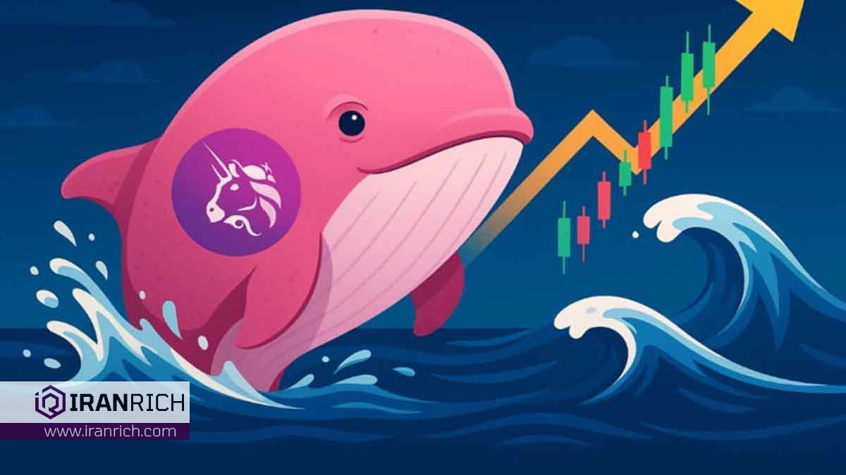 بازگشت نهنگ یونی سواپ پس از ۳ سال؛ UNI در آستانه صعود تا ۱۸ دلار